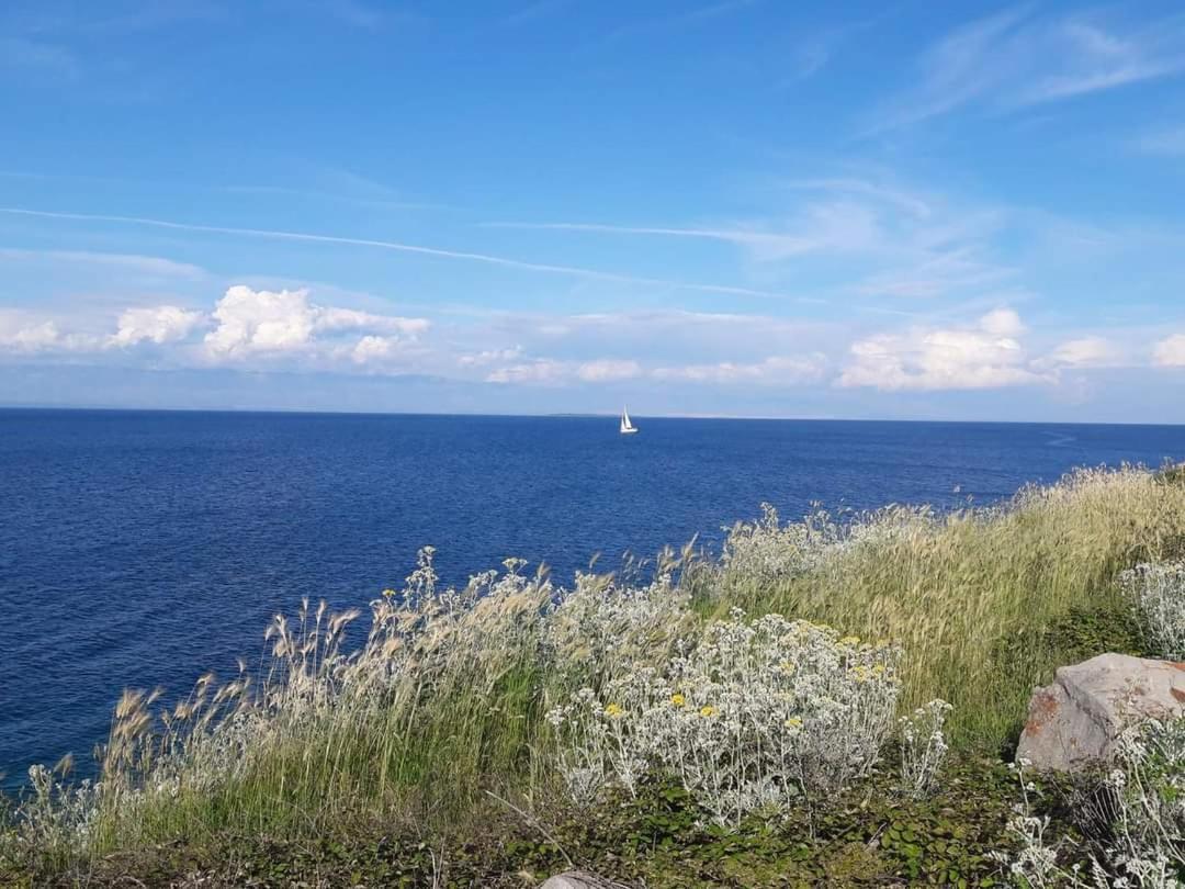 Appartamento Dairos Mali Lošinj Esterno foto