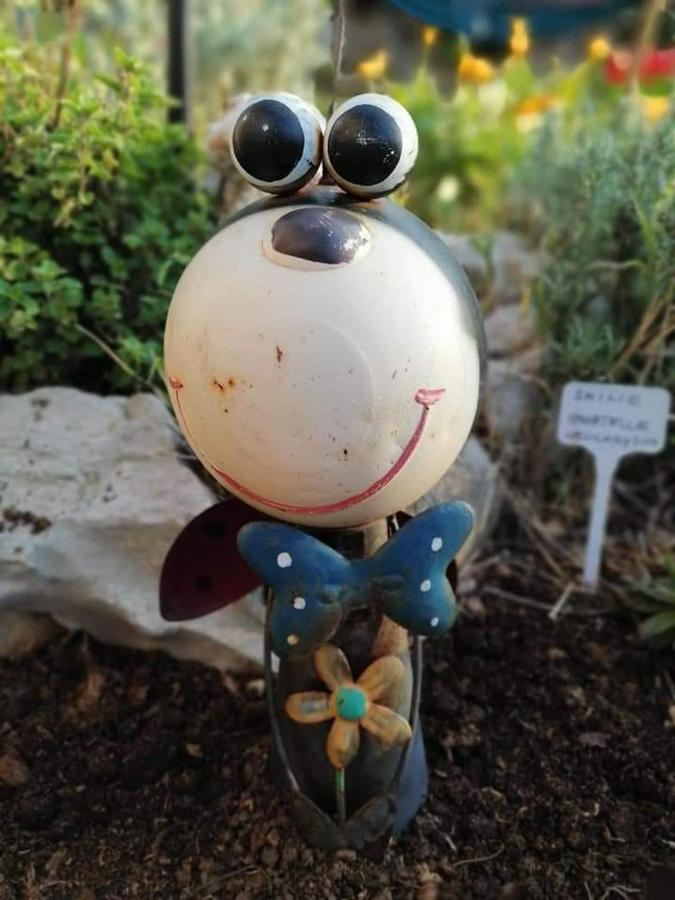 Appartamento Dairos Mali Lošinj Esterno foto