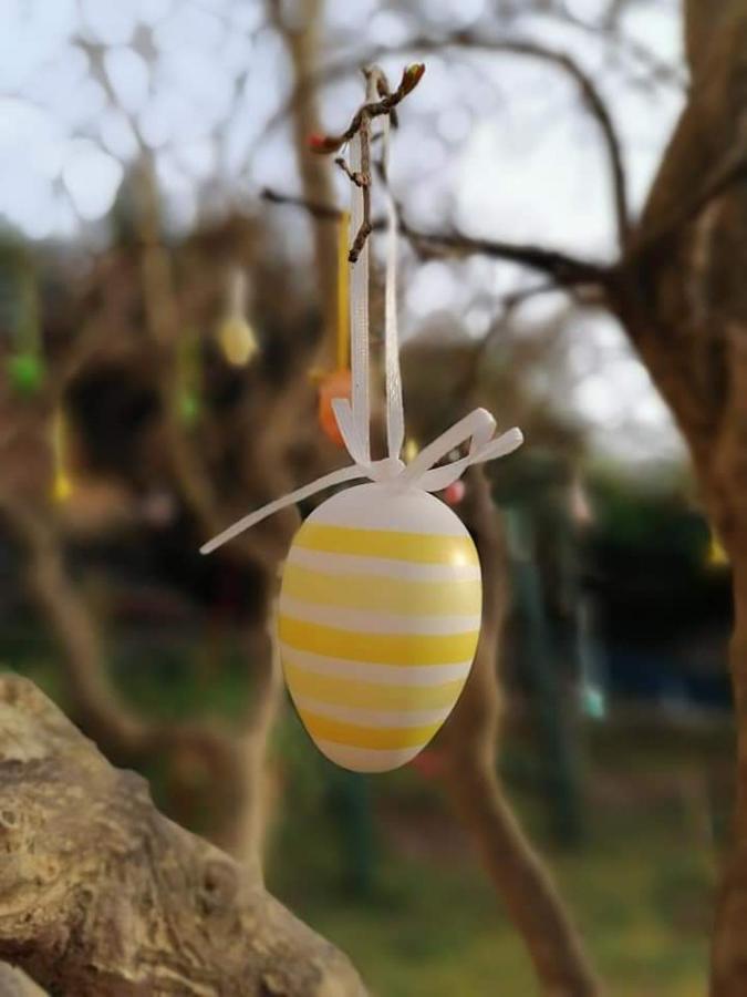 Appartamento Dairos Mali Lošinj Esterno foto