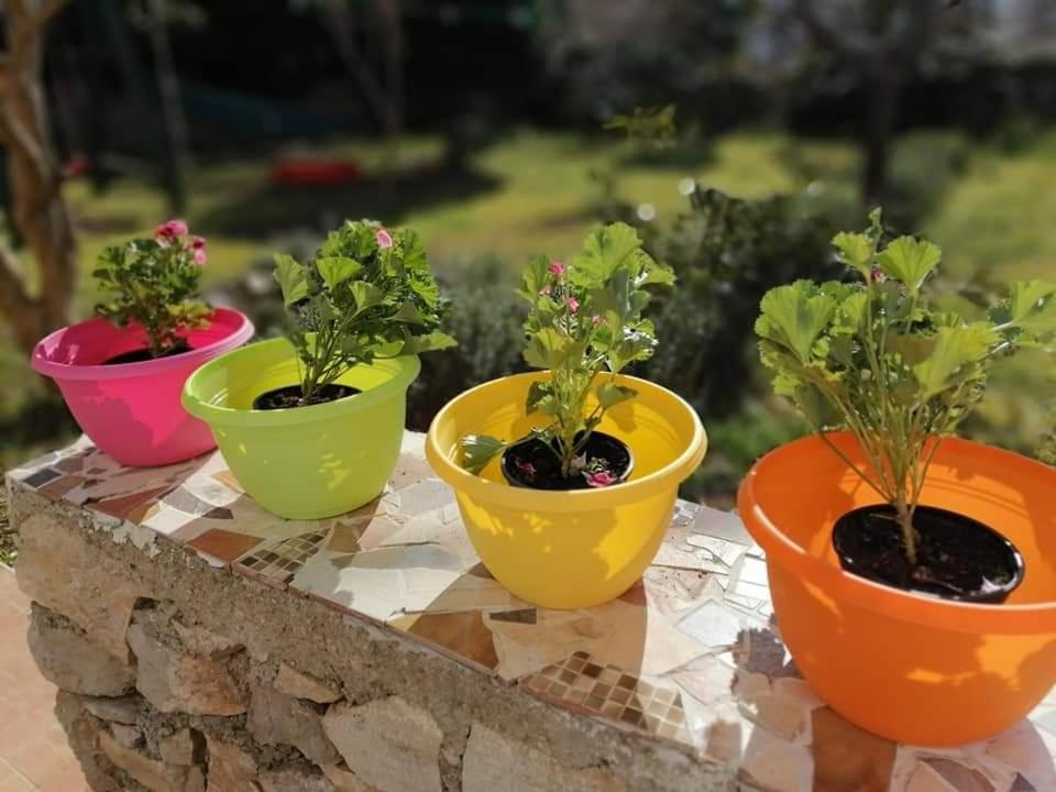 Appartamento Dairos Mali Lošinj Esterno foto