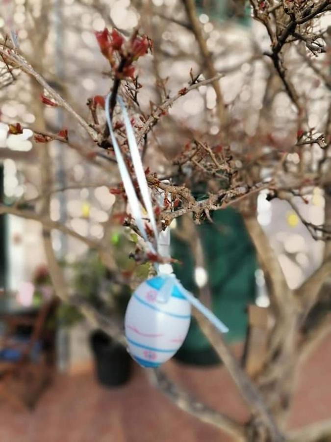 Appartamento Dairos Mali Lošinj Esterno foto